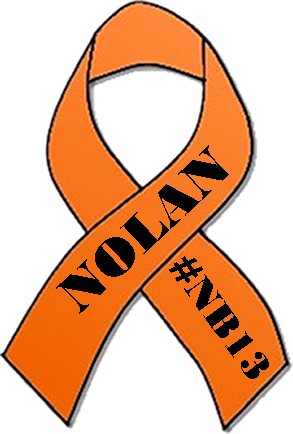Nolan orange awareness ribbon, #NB13
